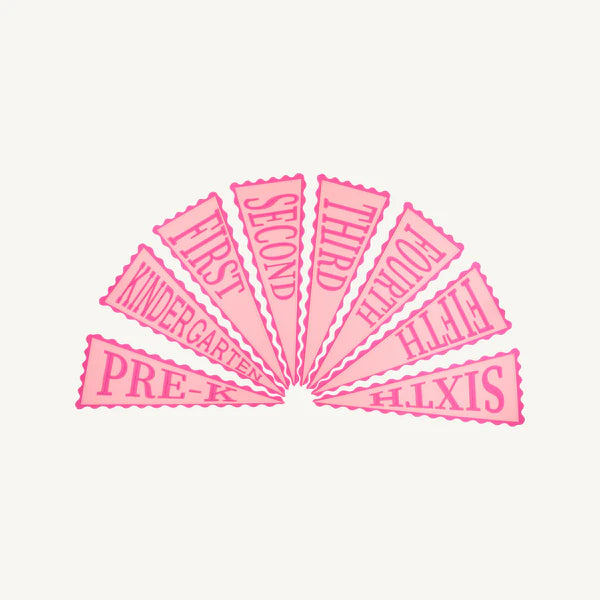 Picture Perfect Pennants - Pink