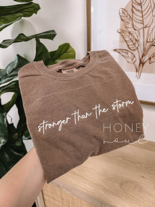 Embroidered Stronger Than The Storm Tee: Espresso