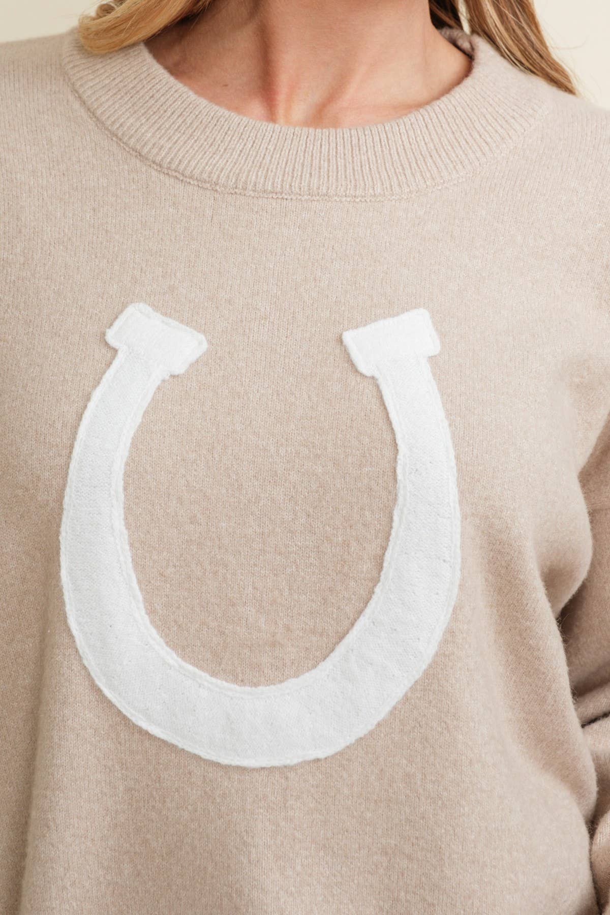 Lucky Days Horseshoe Sweater